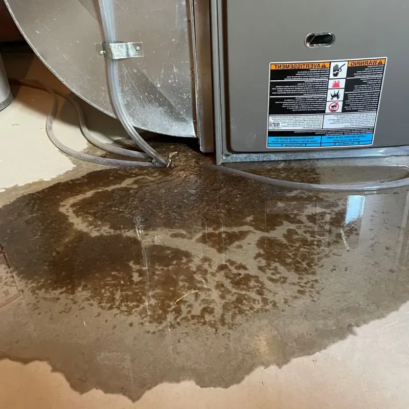 Pipe Burst and Leak Restoration in Simpson County, KY