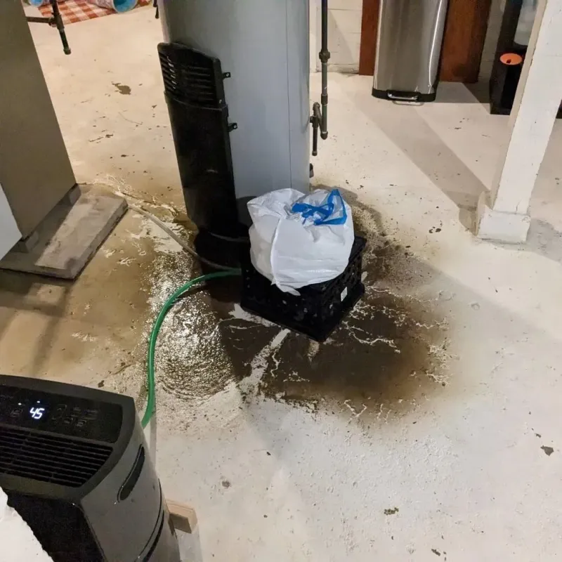 Sewage Backup Cleanup Service in Simpson County, KY